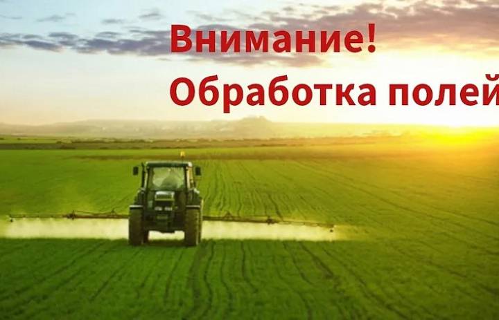 обработка полей